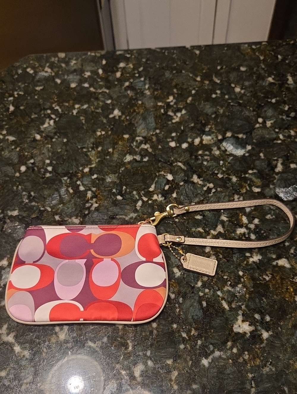 COACH Multicolor Oval Print Wristlet Pouch